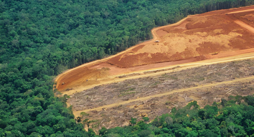 Amazzonia, la deforestazione crolla del 37%: minimo storico da un decennio